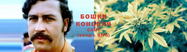 apvp Нягань