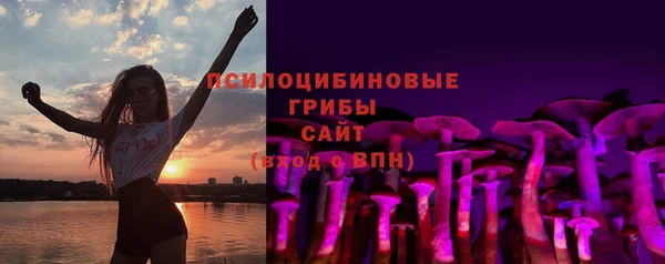apvp Нягань