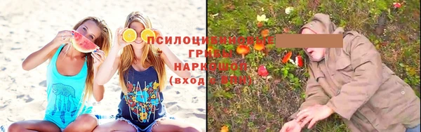МДПВ Нязепетровск